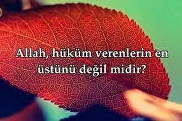 İnsanın ən yaxşı şəkildə yaradılması