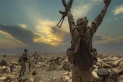 Yemeni Forces Win Control over Strategic Hilltop in Shabwah