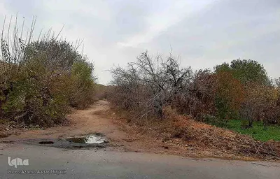 طبیعت پاییزی یزد در قاب تصویر