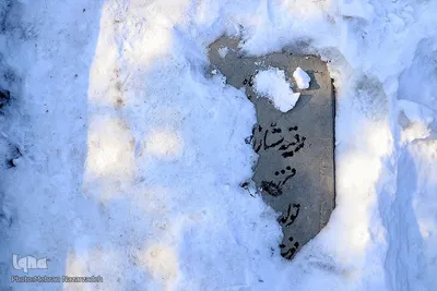 لیلةالرغائب در وادی رحمت تبریز