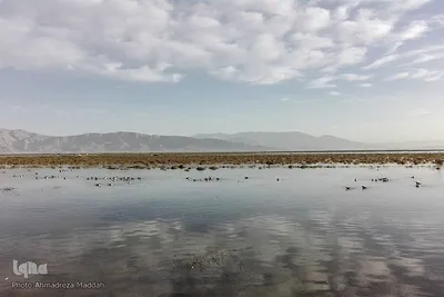 تالاب بین المللی کمجان فارس