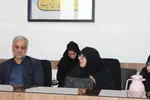 قلم پایداری