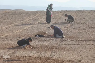 غرس نهال در روز طبیعت
