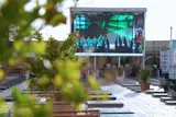 عکس| برگزاری جشن میلاد امام هشتم در گلزار شهدای کرمان