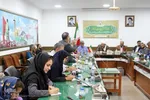 نشست خبری شانزدهمین جشنواره زیر سایه خورشید