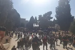 Zehntausende Palästinenser verrichten Freitagsgebet in der Al-Aqsa-Moschee