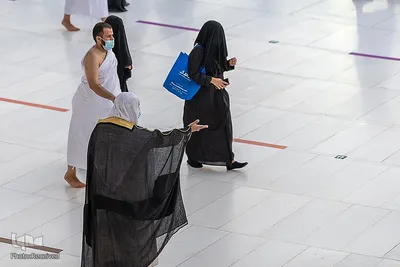 حجاج در سرزمین وحی