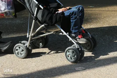 قدم قدم تا کربلا