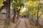 طبیعت پاییزی شهمیرزاد‎