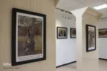 از قندهار تا شرهانی در قاب تصویر مبارزه