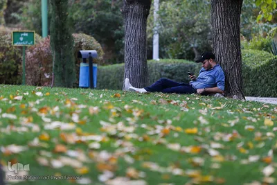 پاییز٬فصل آیه های خدا