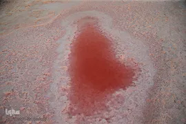 دریاچه حوض سلطان به رنگ سرخ
