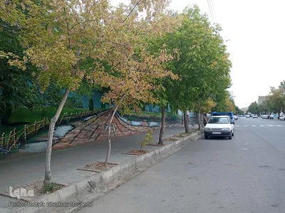خودنمایی فصل خزان در اولین روزهای فصل پاییز