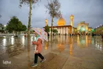 شب لیله الرغائب در حرم مطهر شاهچراغ