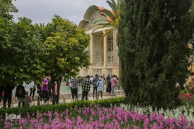 مهمانان نوروزی در باغ ارم و عفیف آباد