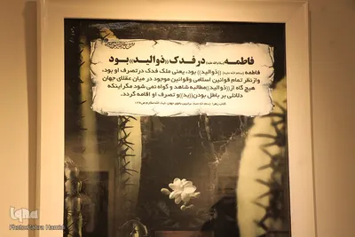 نمایشگاه عکس «بدرقه ماه» _ بیرجند