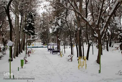 بهار 1401 با طعم برف و سرما در اهر