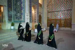 سیب بهشتی‎‎