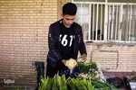 İran, Xuzistan əyaləti, Behbahan şəhəri, Nərgiz gülləri düzənliyi