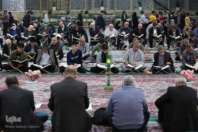 ترتیل‌خوانی قرآن کریم در حرم امام رضا(ع)