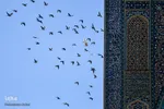 افراشته فیروزه‌ای؛ مسجد جامع اصفهان