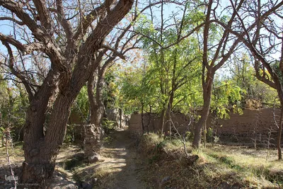 پاییز خراسان جنوبی