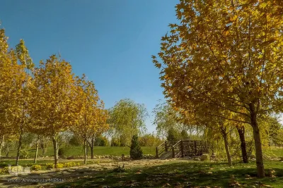 پاییز اکوپارک شهر صدرا‎‎