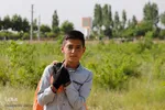 برداشت گل محمدی از مزارع هیدج