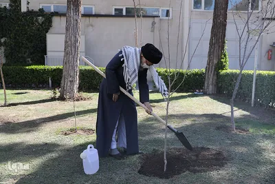 کاشت نهال توسط رهبر انقلاب