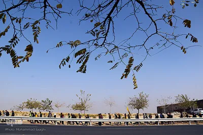 زائران پیاده امام رضا (ع)