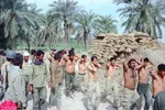 عملیات بیت المقدس