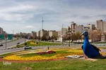 گل فرش تبریز