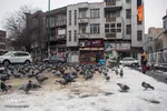 چهارراه کبوترها‎‎