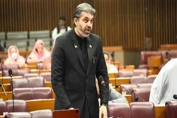 عمران خان نے حکومت قربان کر دی، غلامی قبول نہیں کی: علی محمد خان