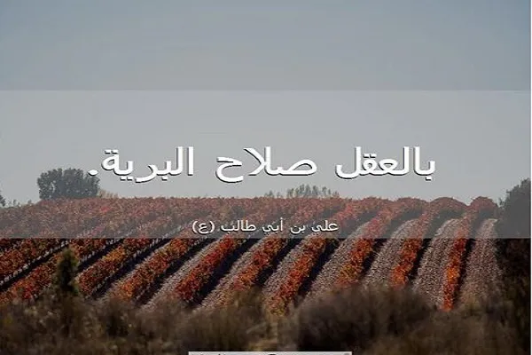 العقل هو مصدر كلِّ الفضائل