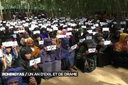 CPI donne son feu vert à une enquête sur des crimes contre les Rohingyas