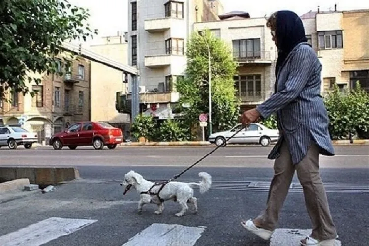 سگ‌ گردانی؛ سوغات تفكر منحط غربی