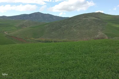 طبیعت بهاری روستای چوبانلار در اهر