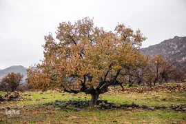 اندیکا، شگفتی در دل کوه