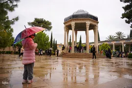 روز شیراز‎