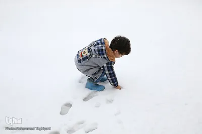 بارش برف بهاری در خدابنده