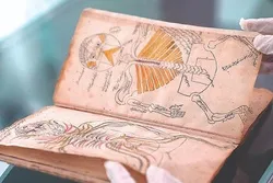 Dünyanın ən qədim anatomiya kitabının müəllifi müsəlmandır
