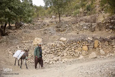 آخرین وضعیت روستاهای زلزله زده اندیکا