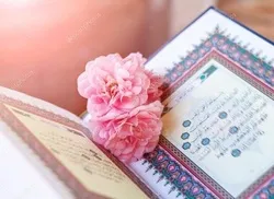 تنظیم ندوة 