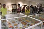 مراسم افتتاحیه موزه مشاغل تبریز