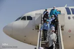 بازگشت نخستین گروه از حجاج استان فارس به شیراز