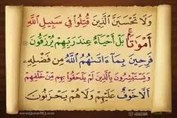 أی المقتولون فی سبیل الله هو 