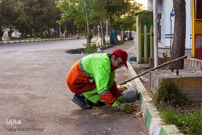 مدافعان پاکیزگی