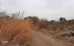 طبیعت پاییزی یزد در قاب تصویر