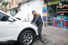 مردانی که زندگی می آفرینند